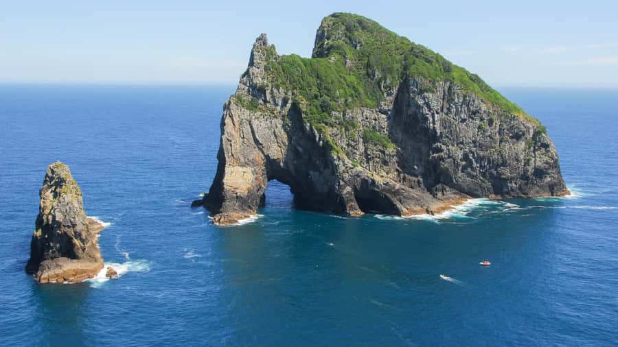 From Auckland: Full-Day Tour to the Bay of Islands - Lunch, refreshments, and what to bring