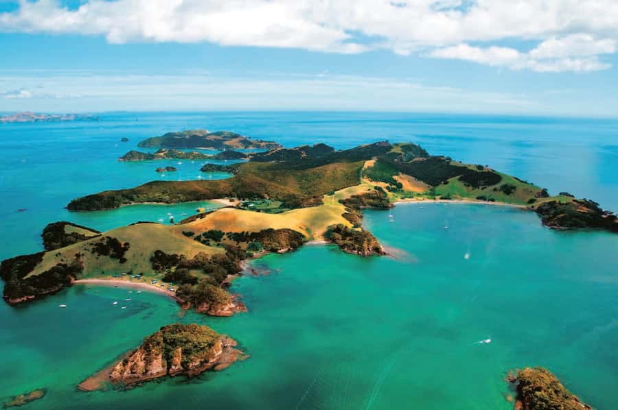 From Auckland: Full-Day Tour to the Bay of Islands - Who should book this day trip?