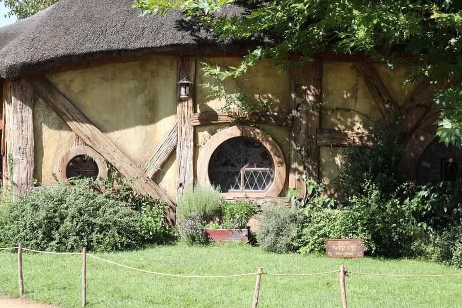 From Auckland: Hobbiton Afternoon Tour - Why the 11am departure changes the day