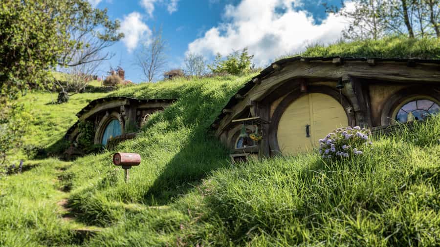 From Auckland: Hobbiton Afternoon Tour - The ride through Waikato farm country