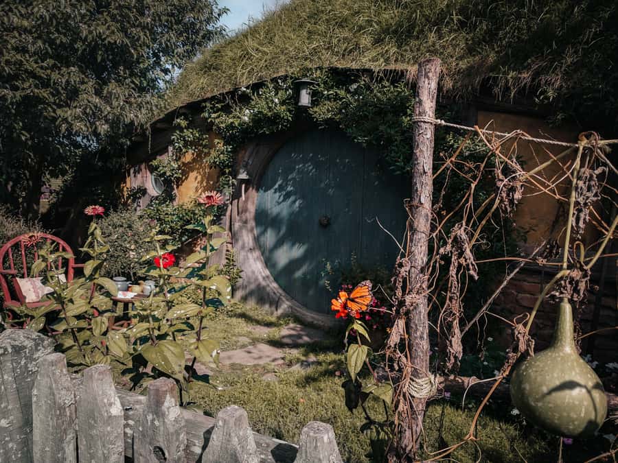 From Auckland: Hobbiton Afternoon Tour - Why the minibus matters on an eight-hour tour