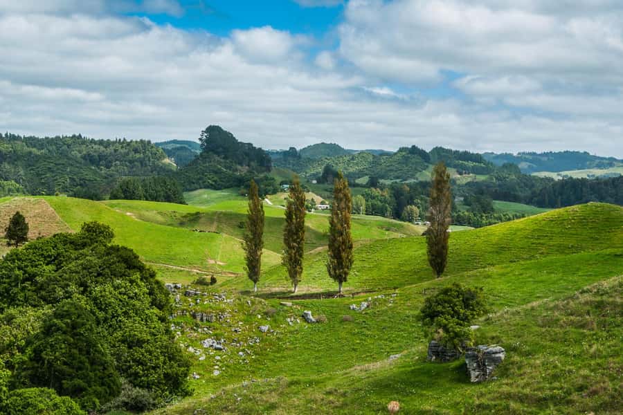 From Auckland: Hobbiton and Waitomo Day Tour with Lunch - Key details that shape the day