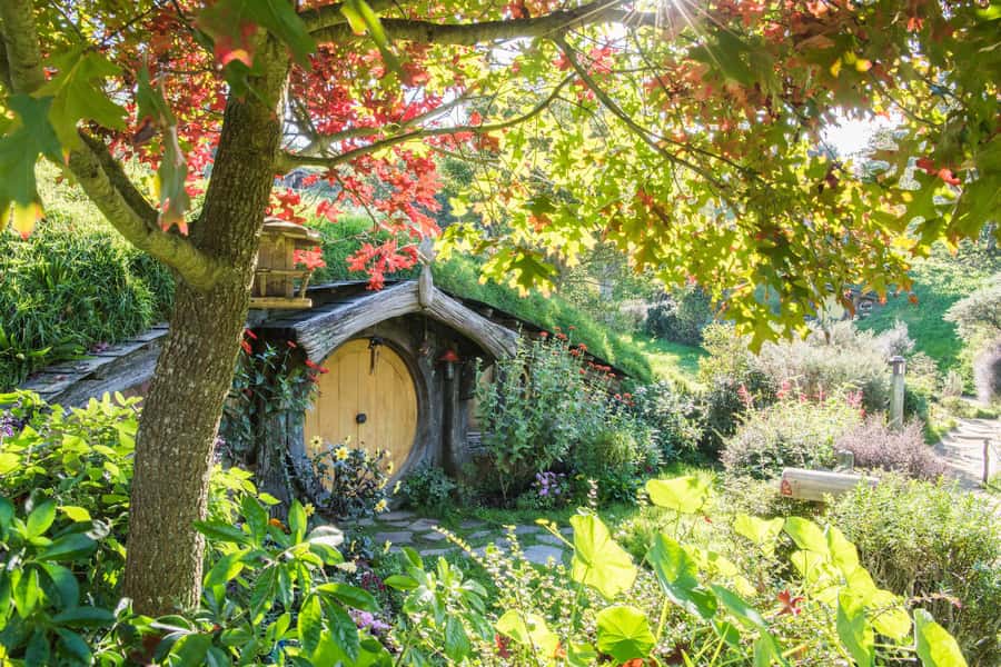 From Auckland: Hobbiton and Waitomo Day Tour with Lunch - The early ride south through Waikato