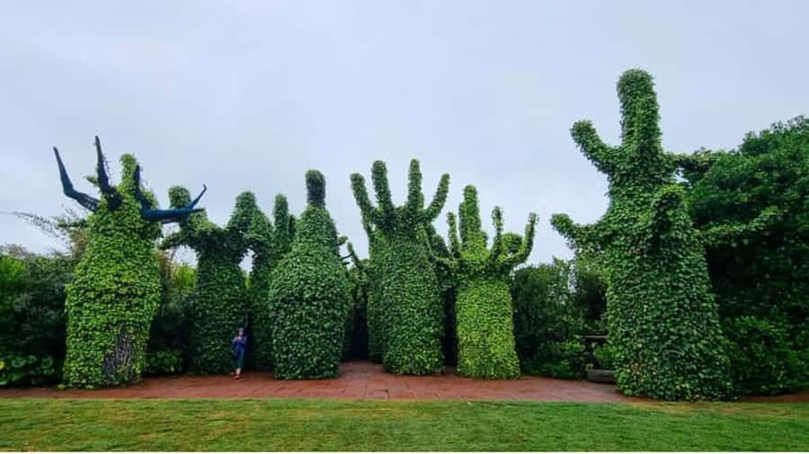 From Auckland: Hobbiton & Hamilton Gardens Small Group Tour - Hamilton Gardens: 1.5 hours of self-guided exploring