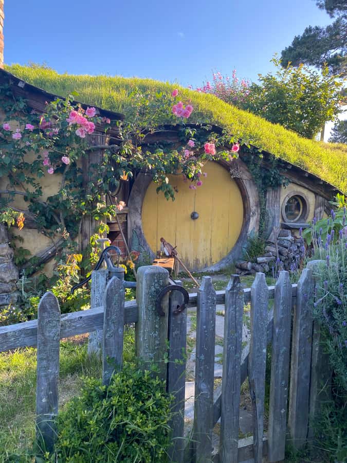 From Auckland: Hobbiton & Hamilton Gardens Small Group Tour - The road to Alexander Family Sheep Farm