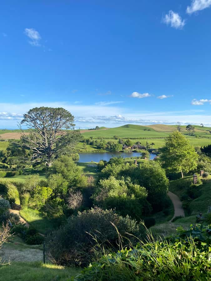 From Auckland: Hobbiton & Hamilton Gardens Small Group Tour - Timing, walking, and family details