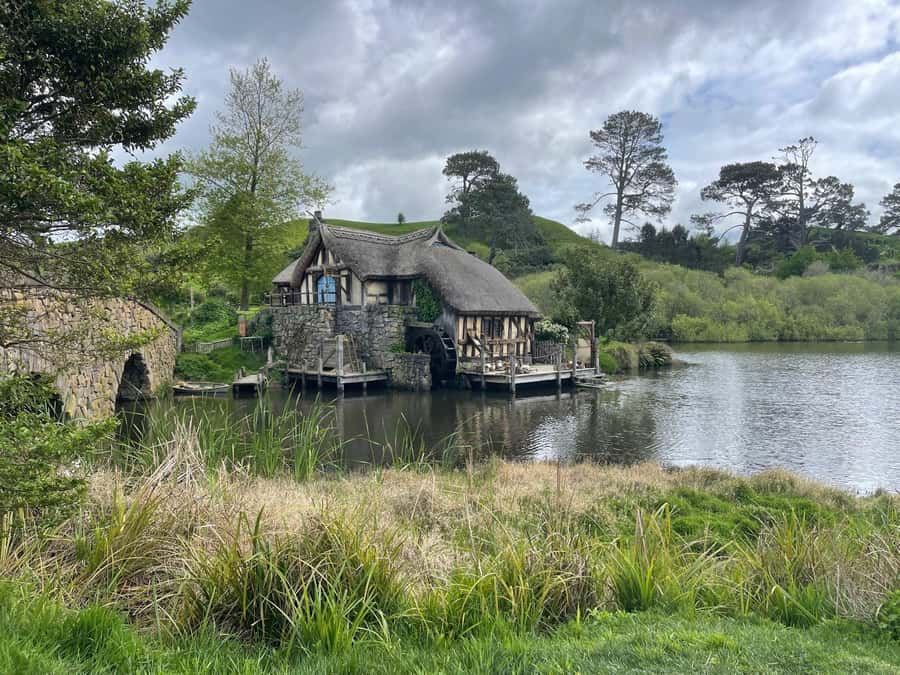 From Auckland: Hobbiton Movie Set and Waitomo Caves Tour - Who should book this tour?