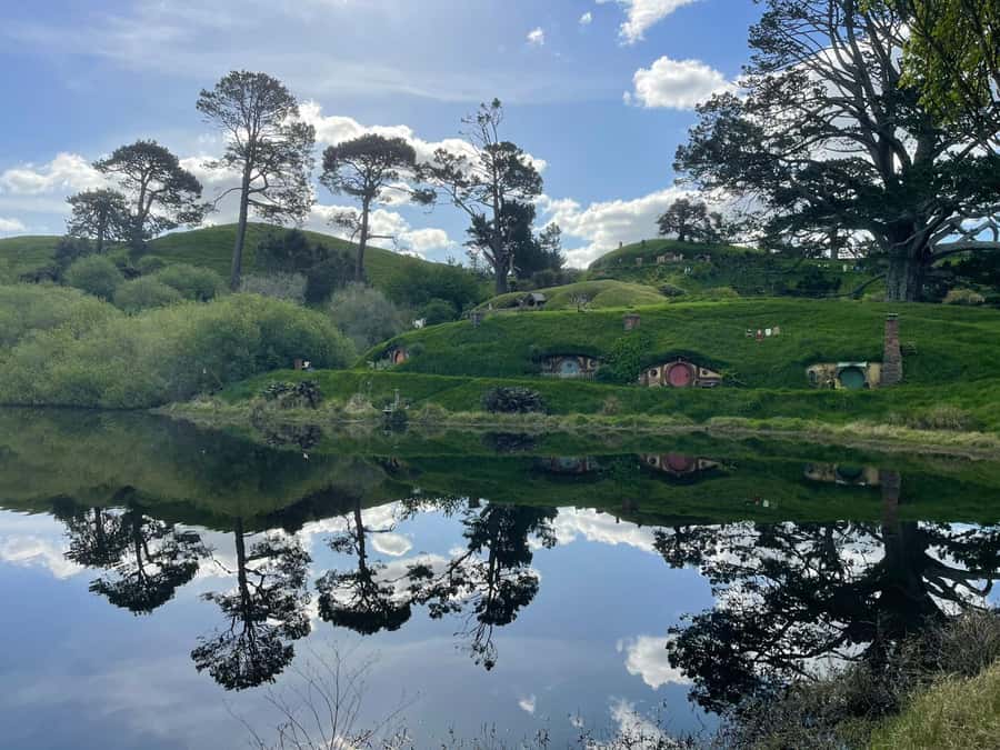 From Auckland: Hobbiton Movie Set and Waitomo Caves Tour - The ride south from Auckland