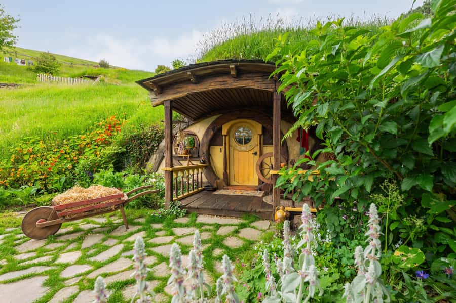 From Auckland: Hobbiton Movie Set Full-Day Trip - Why the Auckland to Hobbiton day trip works