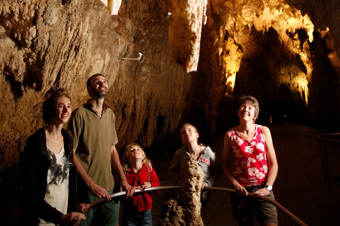 From Auckland:Hobbiton Movie Set & Waitomo Caves Small Group Tour - Waitomo’s limestone chambers and glowworms