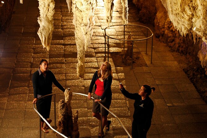 From Auckland:Hobbiton Movie Set & Waitomo Caves Small Group Tour - Walking past 44 hobbit holes