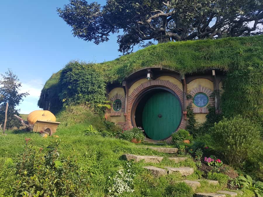 From Auckland: Hobbiton & Rotorua Tour with Lunch at Te Puia - Key points to know before booking
