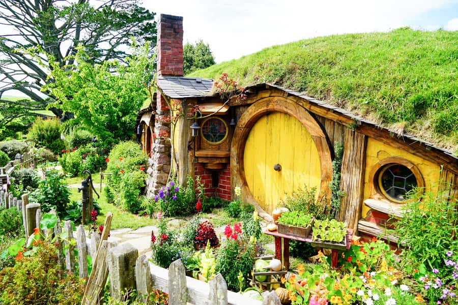 From Auckland: Hobbiton & Rotorua Tour with Lunch at Te Puia - Two North Island icons in one long day