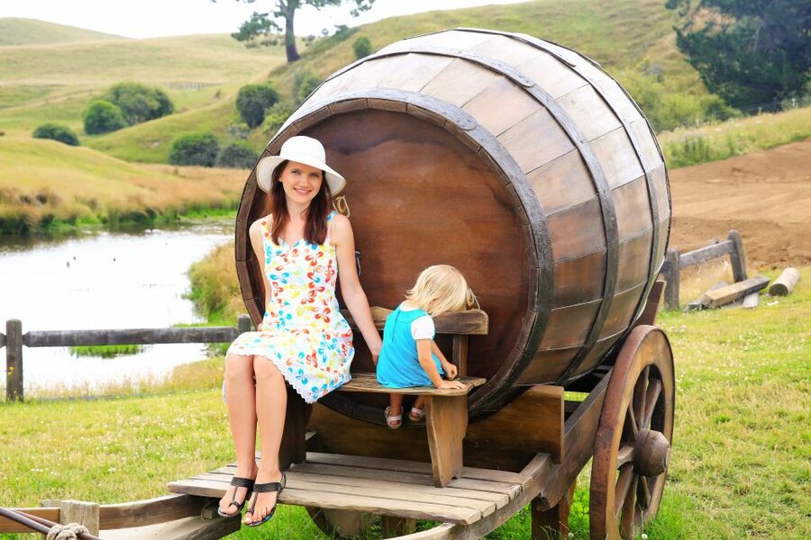 From Auckland: Hobbiton & Rotorua Tour with Lunch at Te Puia - Te Puia brings together geysers, arts, and lunch