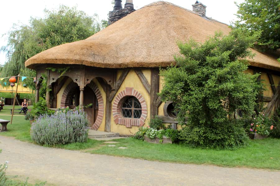 From Auckland: Hobbiton & Rotorua Tour with Lunch at Te Puia - The one-way Rotorua option is genuinely useful