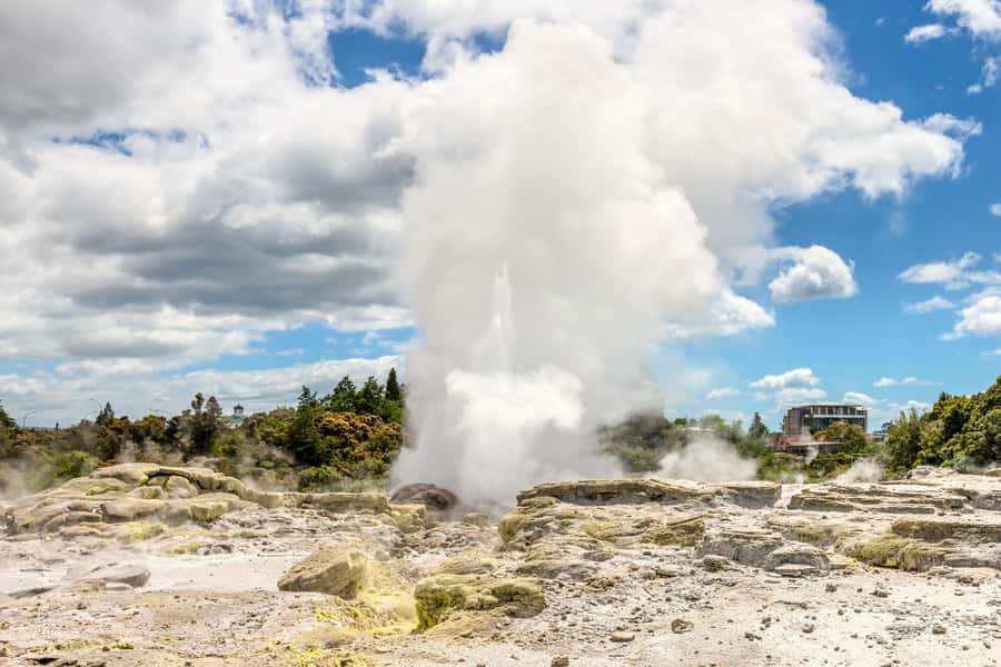 From Auckland: Hobbiton & Rotorua Tour with Lunch at Te Puia - How the $286 price works out