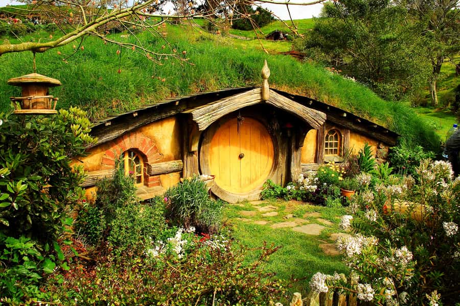 From Auckland: Hobbiton & Rotorua Tour with Lunch at Te Puia - What the day feels like in practice