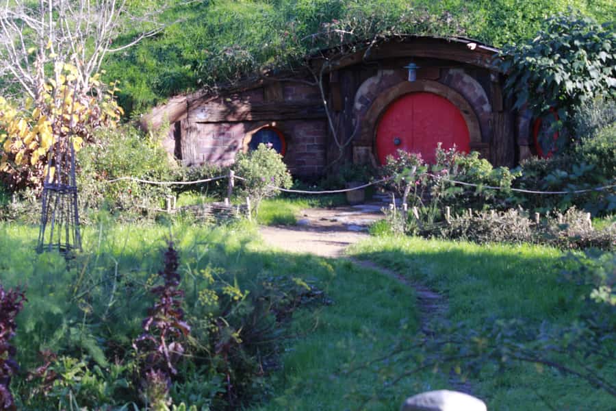 From Auckland: Hobbiton & Rotorua Tour with Lunch at Te Puia - Who should choose this tour?