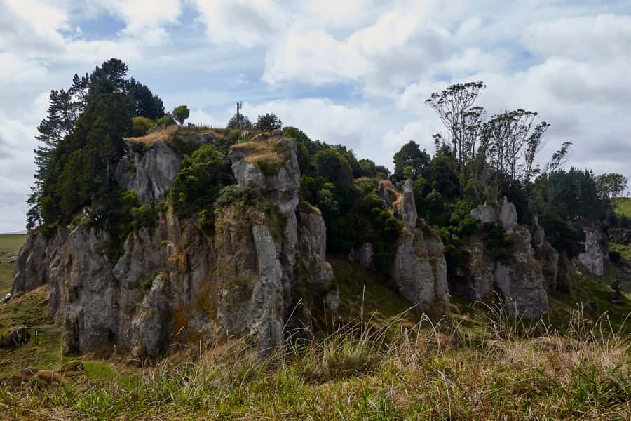 From Auckland or Rotorua: Hobbiton & Waitomo Tour with Lunch - What to bring and how to prepare