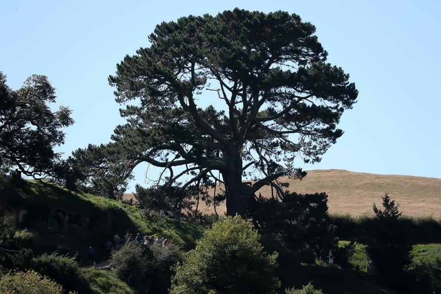 From Auckland or Rotorua: Hobbiton & Waitomo Tour with Lunch - Is the $286 price fair?