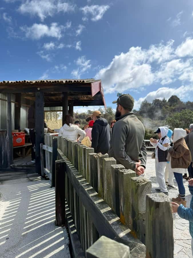 From Auckland: Rotorua Māori Village, Haka & Glowworm Caves - What the $226 price really covers
