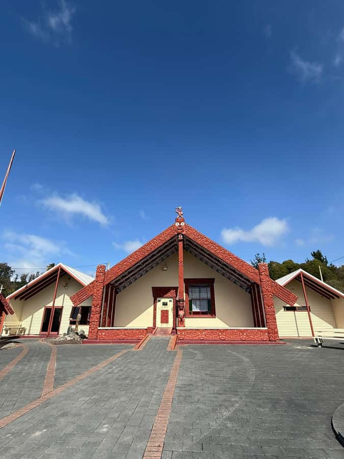 From Auckland: Rotorua Māori Village, Haka & Glowworm Caves - Who should book this tour
