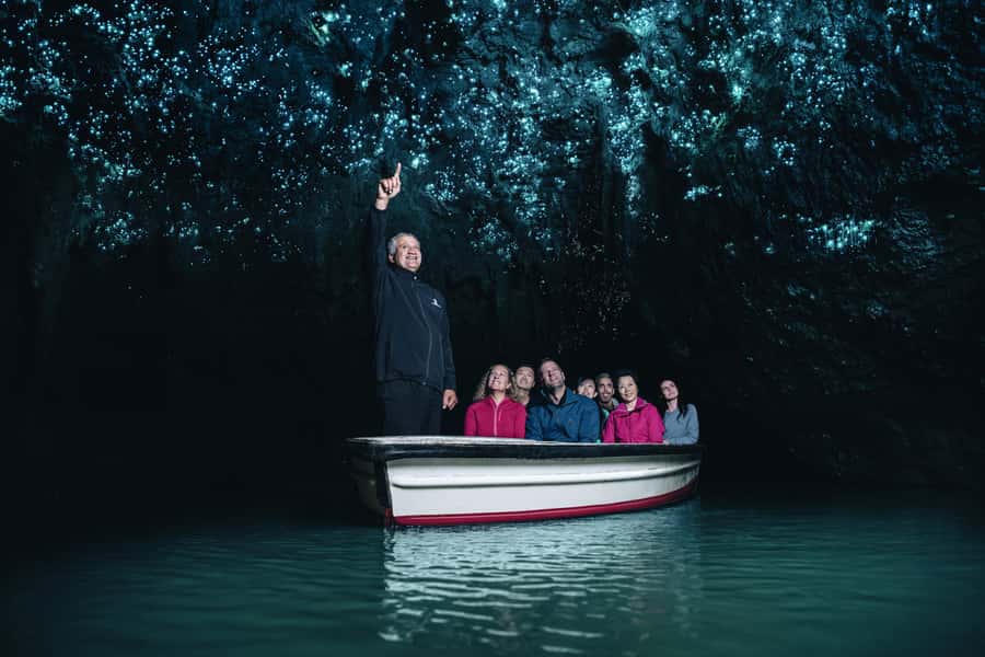 From Auckland: Rotorua Māori Village, Haka & Glowworm Caves - Leaving Auckland by minivan