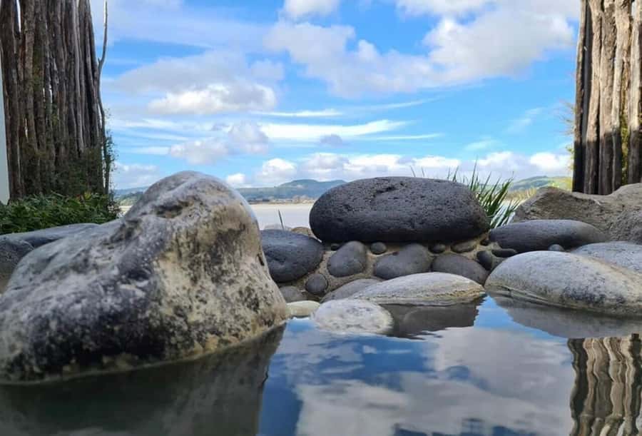 From Auckland: Rotorua Māori Village & Hot Springs with Haka - What makes the guide important