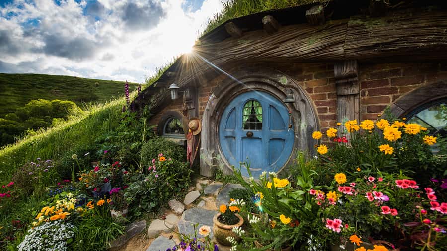 From: Auckland: Rotorua via Hobbiton Tour One Way Tour - Waikato from the minibus window