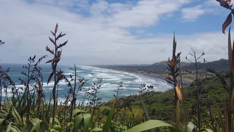 From Auckland: Small Group Kumeu Wine Tour with Lunch - Should you book the Kumeu wine tour?