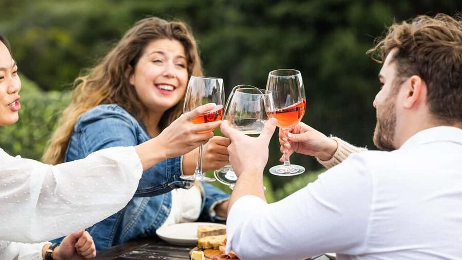 From Auckland: Taste Of Waiheke Island Day Tour - Price and what the $173 covers