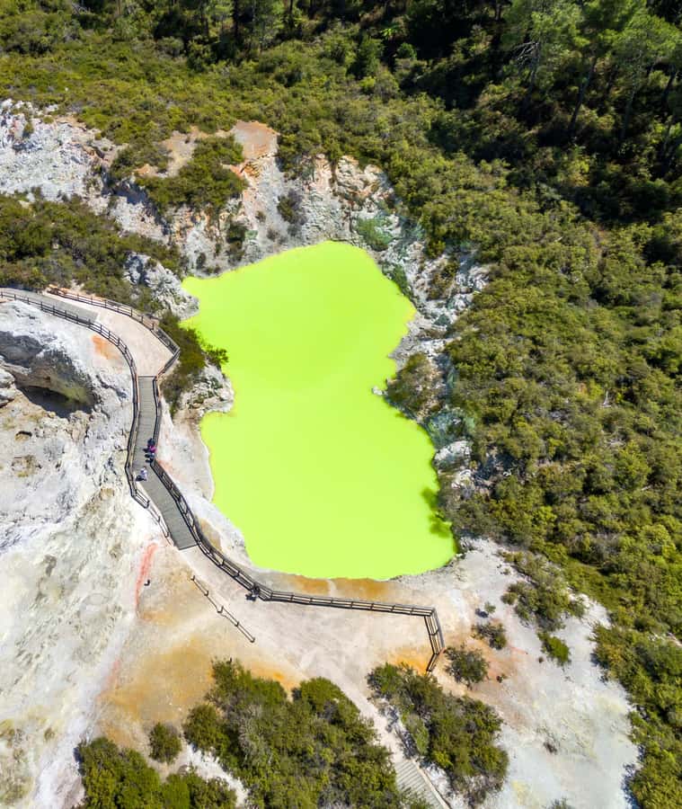 From Auckland: Wai-O-Tapu & Polynesian Spa Rotorua Day Tour - Should you book it?