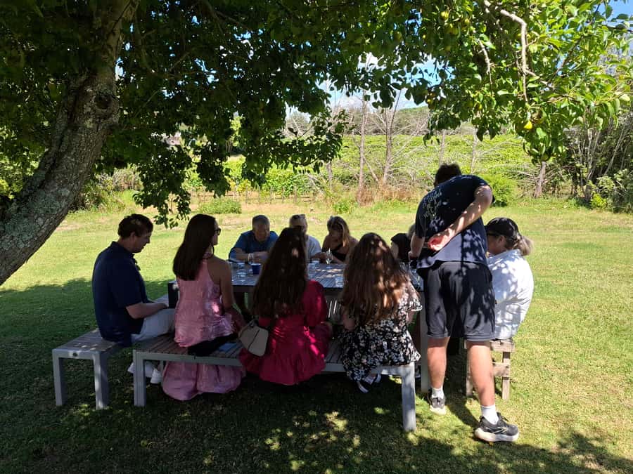 From Auckland: Waiheke Island Sip & Savour Tour with Lunch - The first vineyards set the pace