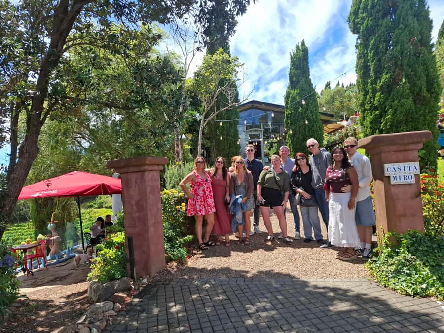 From Auckland: Waiheke Island Sip & Savour Tour with Lunch - Olive oil and food pairings add variety