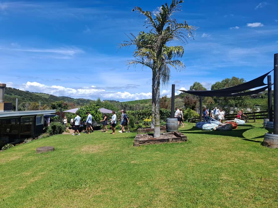 From Auckland: Waiheke Island Sip & Savour Tour with Lunch - The final vineyard and the question of four stops