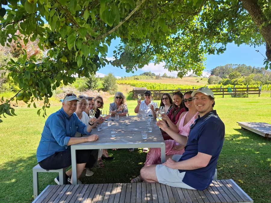 From Auckland: Waiheke Island Wine Cellar Tour - Why Waiheke works so well for a wine day