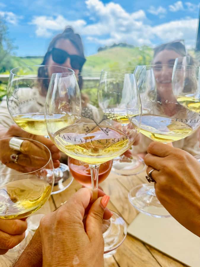 From Auckland: Waiheke Island Wineries' Tour - Why Waiheke makes an easy Auckland wine day