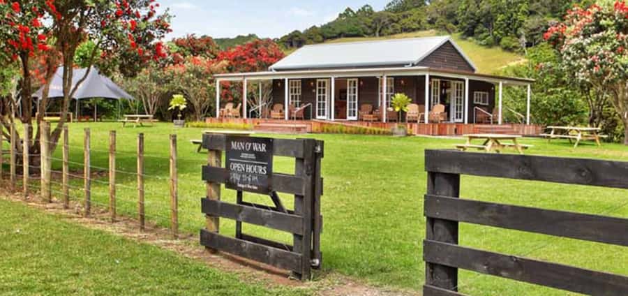 From Auckland: Waiheke Island Wineries' Tour - The four tasting stops, and why the mix can change