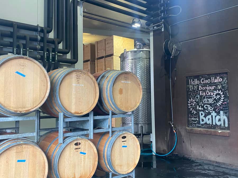 From Auckland: Waiheke Island Wineries' Tour - Who should book this Waiheke tour?