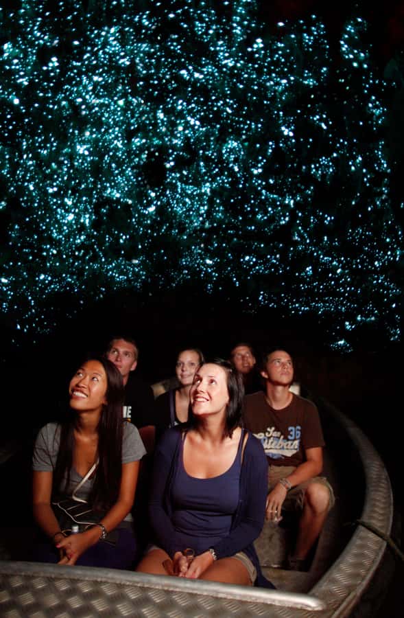 From Auckland: Waitomo Caves and Kiwi House Group Tour - Glowworms, limestone, and the value of a guide
