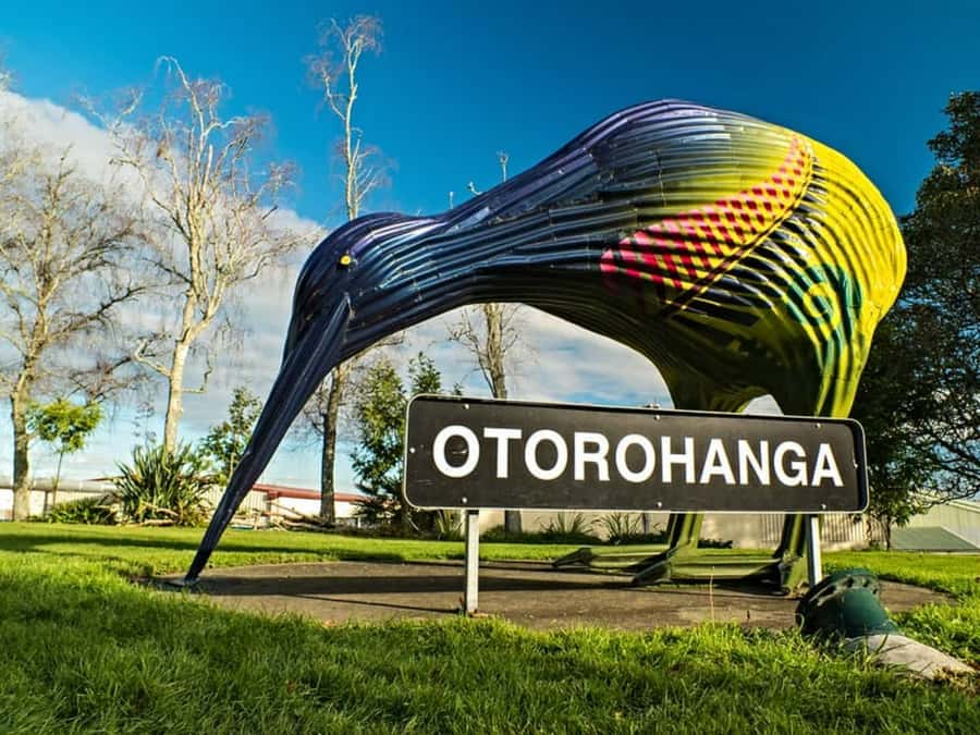 From Auckland: Waitomo Caves and Kiwi House Group Tour - Meeting kiwi at Otorohanga Kiwi House