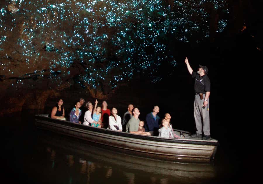 From Auckland: Waitomo Caves and Kiwi House Group Tour - Entering Ruakuri Cave through the spiral entrance