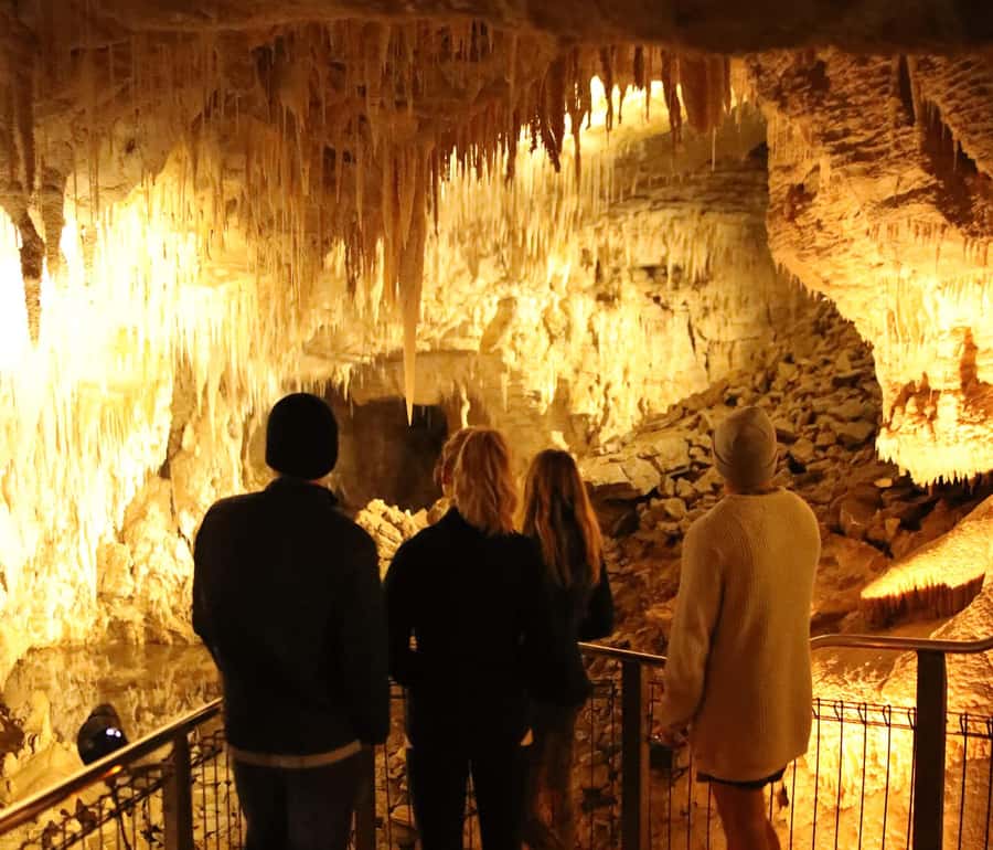 From Auckland: Waitomo Glow Worm Caves & Rotorua Tour - Key points to know before booking