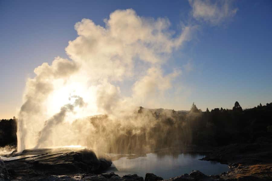 From Auckland: Waitomo Glow Worm Caves & Rotorua Tour - Te Puia brings Rotorua’s two great themes together
