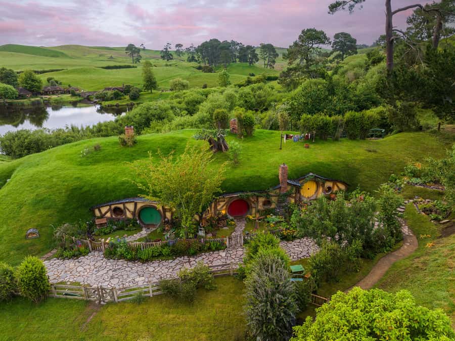 From Auckland: Waitomo & Hobbiton Bus Tour with Lunch - Key points to know before booking