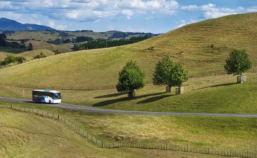 From Auckland: Waitomo & Hobbiton Bus Tour with Lunch - How the two tours work together