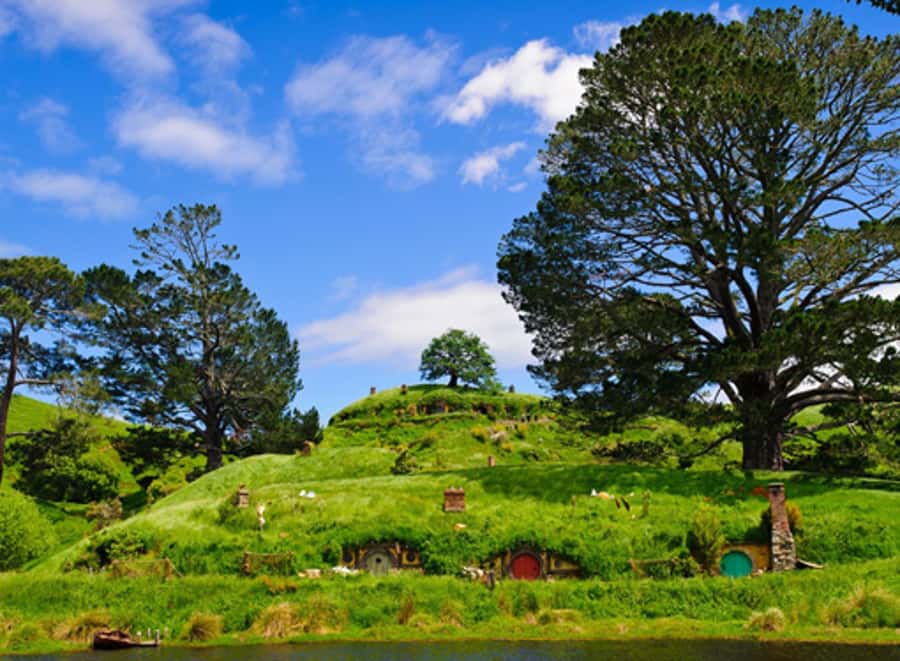 From Auckland: Waitomo & Hobbiton Bus Tour with Lunch - The Auckland to Waitomo ride