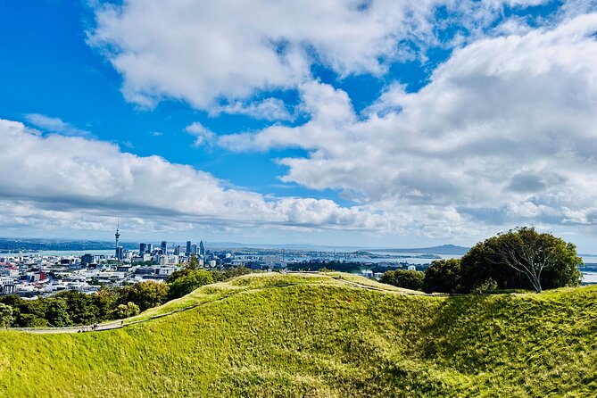 Full-Day Auckland Discovery - At a glance