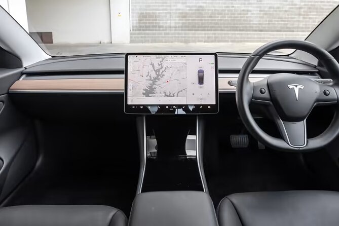 Full-Day Driver with Tesla Car-Customisable North Island Tour - Waitomo Glowworm Caves: a very different kind of stop