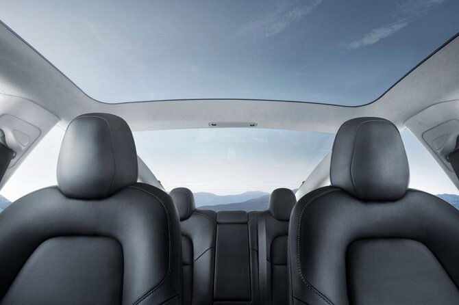 Full-Day Driver with Tesla Car-Customisable North Island Tour - Rotorua options for families and active groups